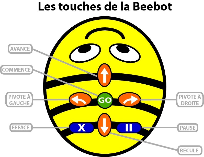  chapter Beebot Le Num rique l avenir